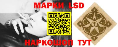 ПСИЛОЦИБИНОВЫЕ ГРИБЫ Аргун
