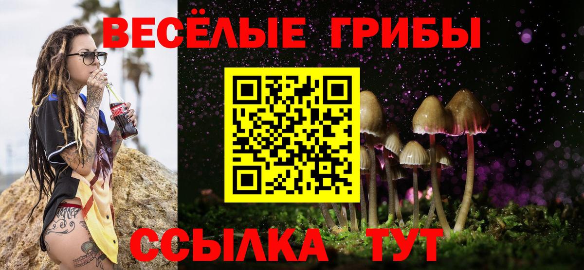 Галлюциногенные грибы Cubensis Вичуга