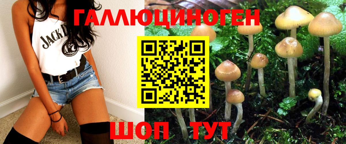 Галлюциногенные грибы Magic Shrooms  Вичуга 