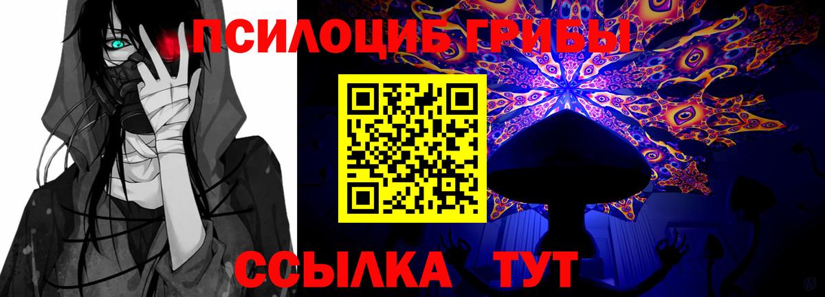Псилоцибиновые грибы Psilocybe Вичуга