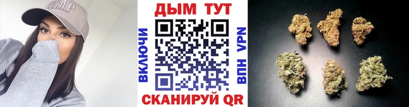 купить закладку Вичуга кракен онион Бошки Шишки Bruce Banner
